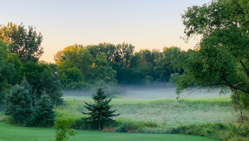 Fog in Minnesota