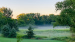 Fog in Minnesota