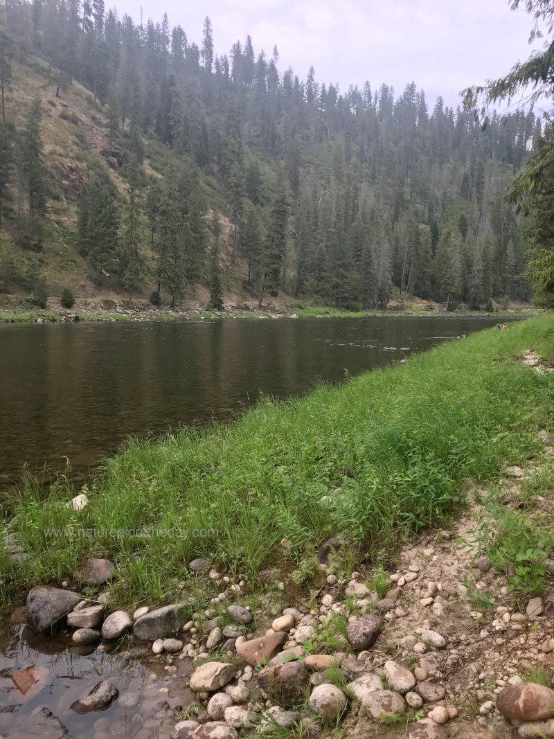 Selway River in Idaho