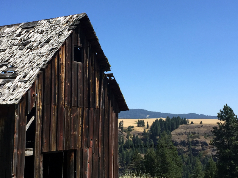 Barn in Idaho