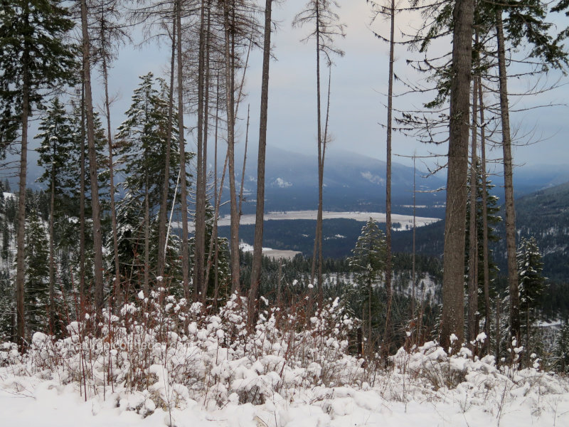 Snow in the mountains of Montana