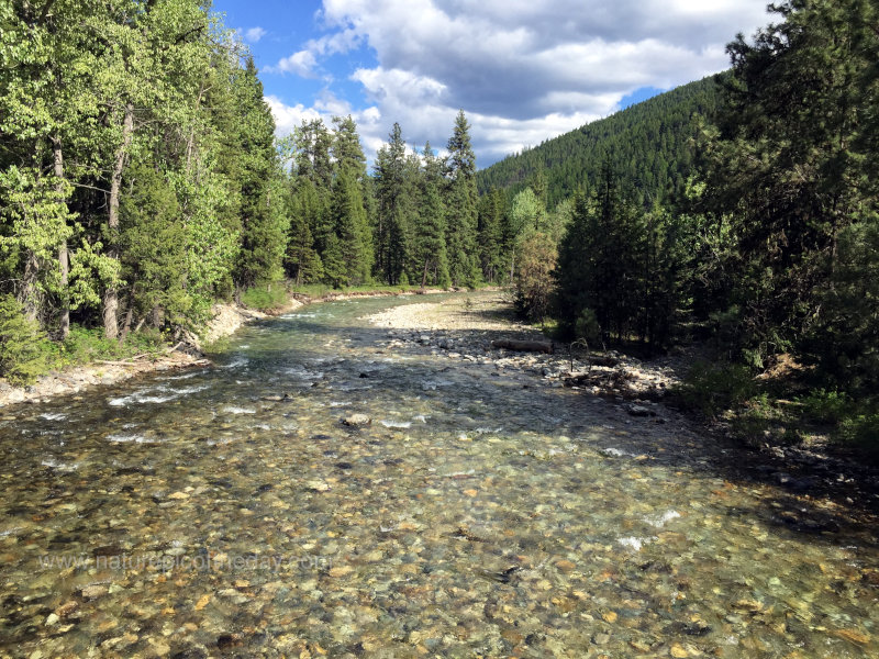 Prospect Creek in Western Montana
