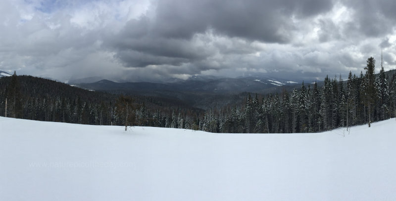 Snowmobiling in the Rockies