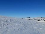 After a Snowstorm on the Palouse