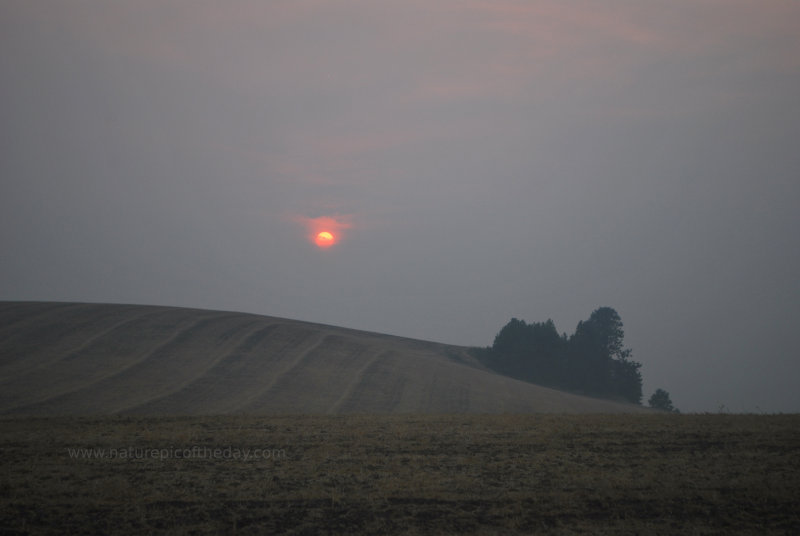 Sun through smoke in the summer.