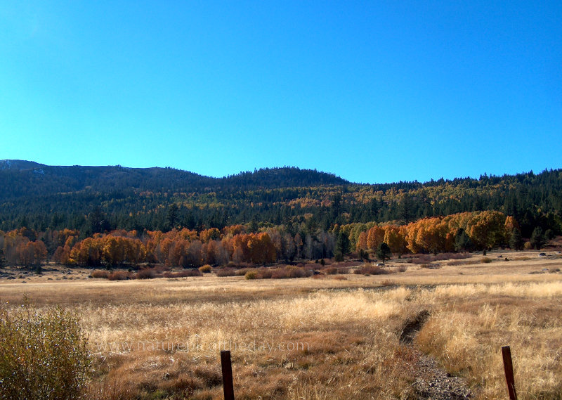 Fall Colors in Northern California