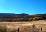 Fall Colors in Northern California