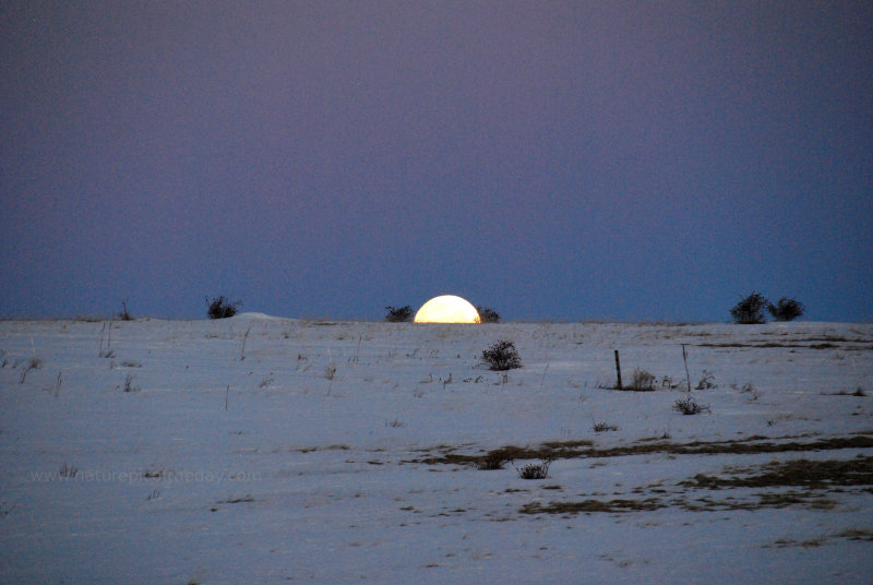 Moon Set over Washington.