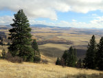 Wheat Country of the Palouse, not Gluten Free.