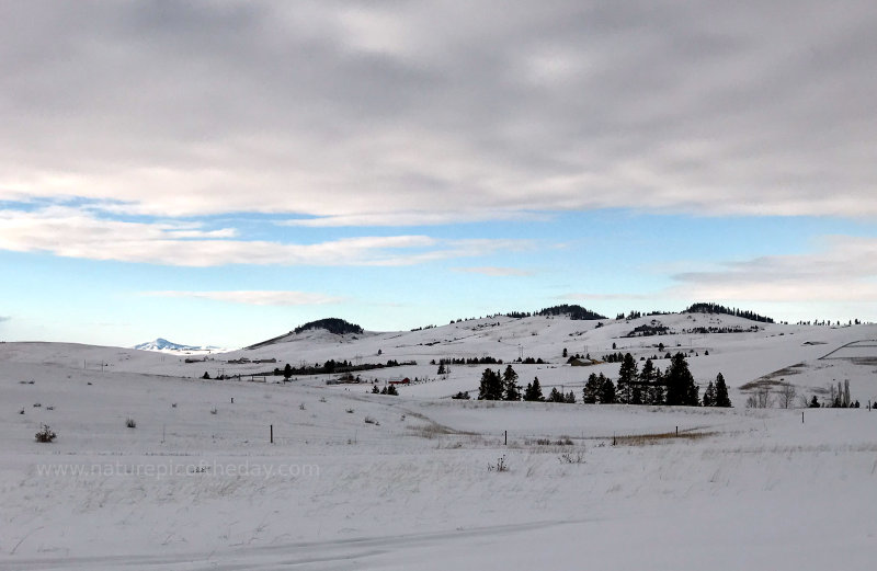 Snow covered landscape