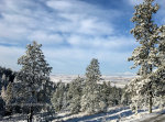 Sunlight after a fresh snowfall.