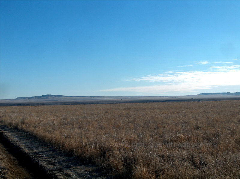 Montana Prairie