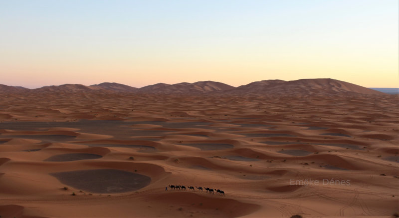 Beautiful Sand Dunes in Morocco