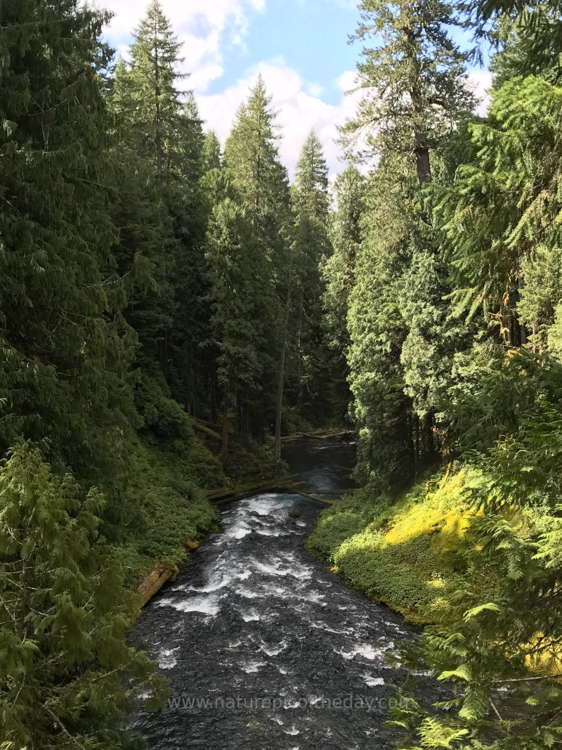 McKenzie River in Oregon