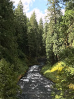 McKenzie River in Oregon