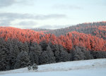 Sunrise on new fallen snow