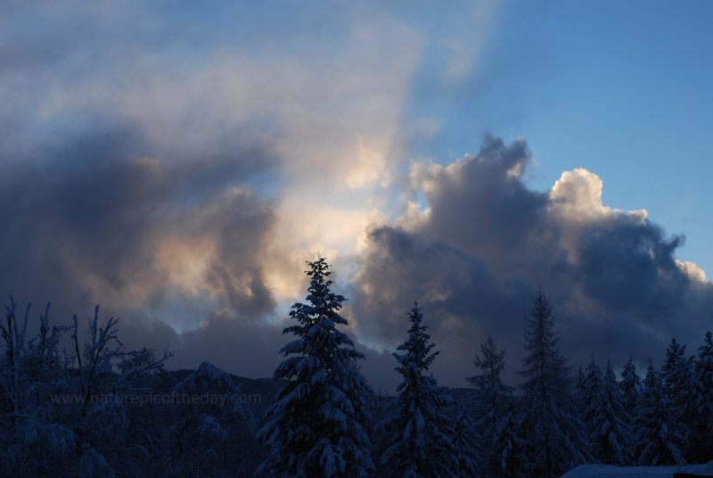 Sunlight after a winter snow storm in Montana.