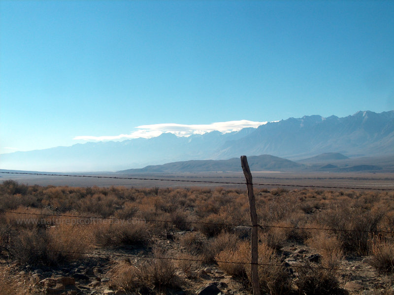 Fence in California Desert