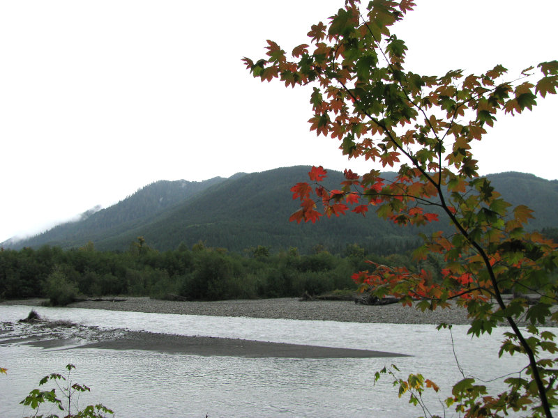 Washington State, Hoh River, Autumn