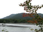 Washington State, Hoh River, Autumn