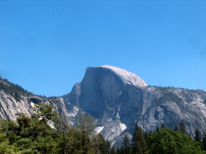 Half Dome in Yosemite National Park