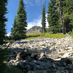 Rocky Mountains in Montana!