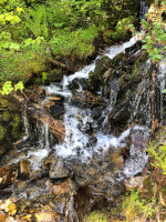 Brook in the Rocky Mountains of Montana