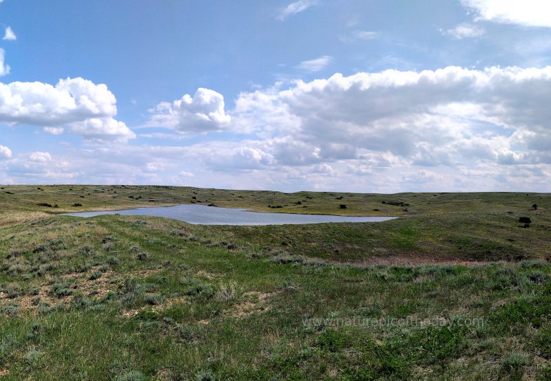 Montana Prairie