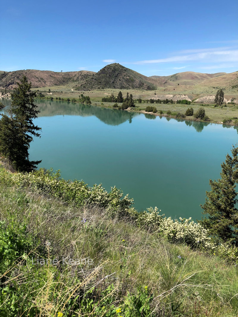 Flathead River in Montana