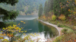 Water fowl on Lake Pend Oreille in Idaho