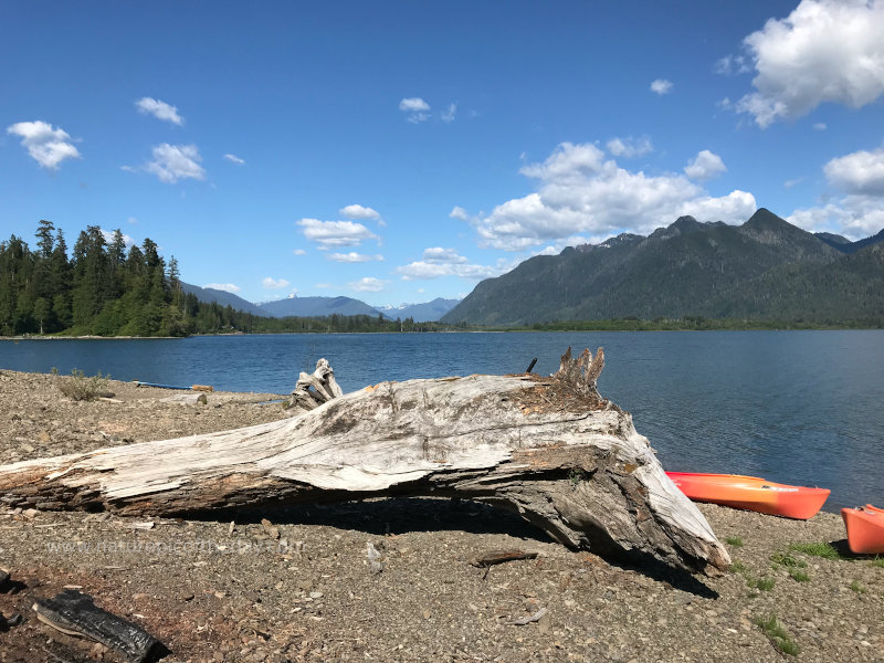 Lake Quinault, WA