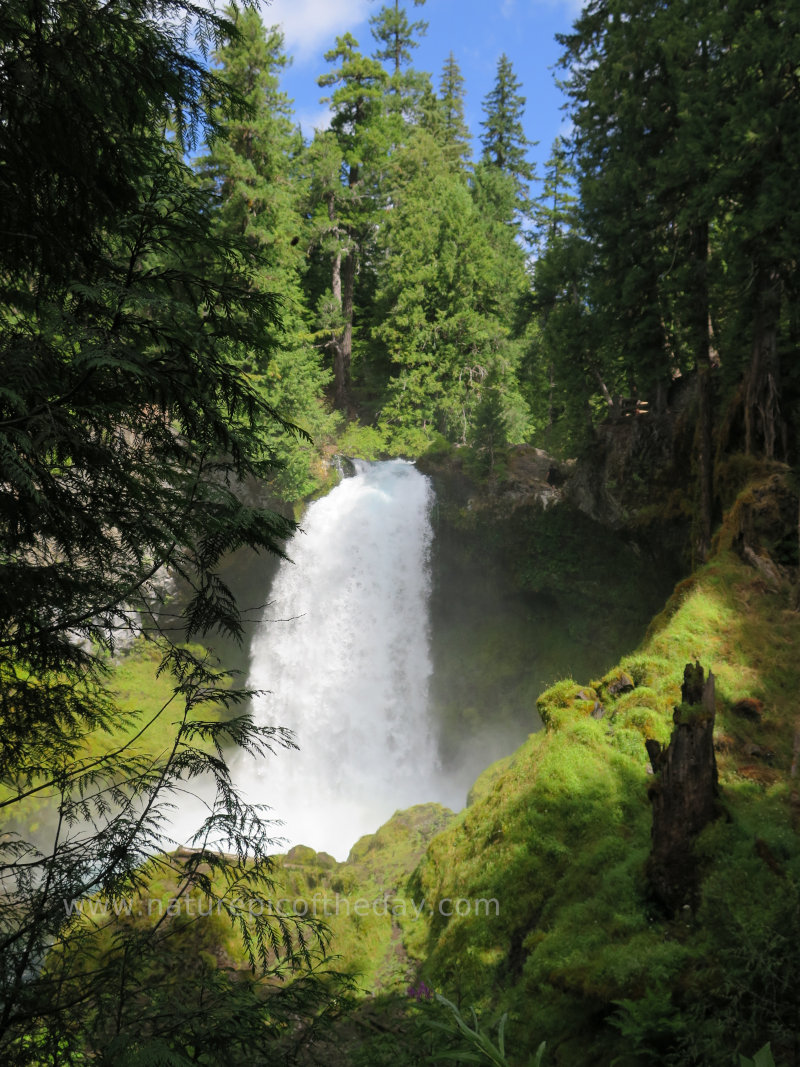 Sahalie Falls