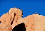 Doves in Colorado