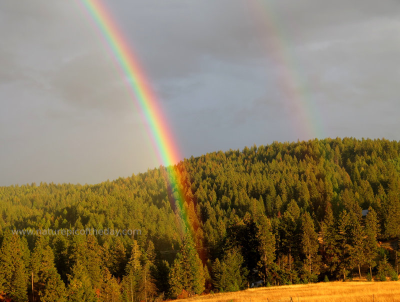 Double Rainbow