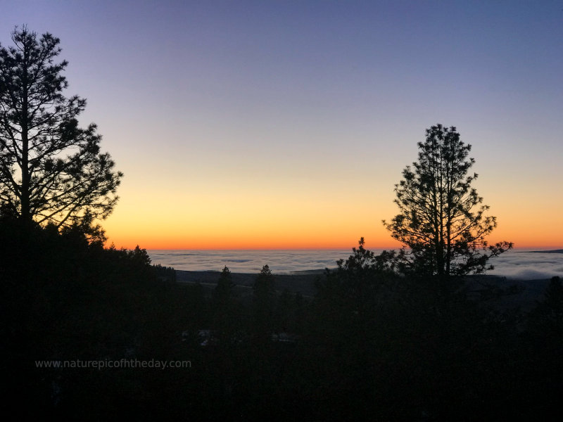 Sunrise on the Palouse