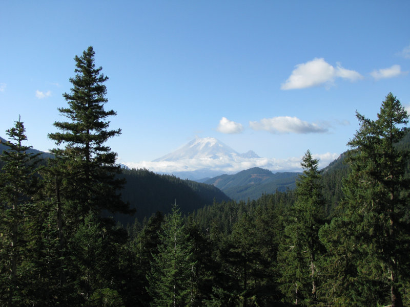 Mount Rainier is beautiful in the distance.