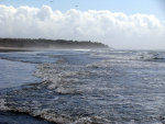 Seagulls and a beach and waves in Washington