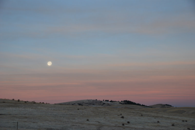 Full Moonset.