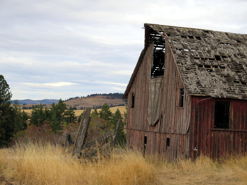 Barn in Idaho