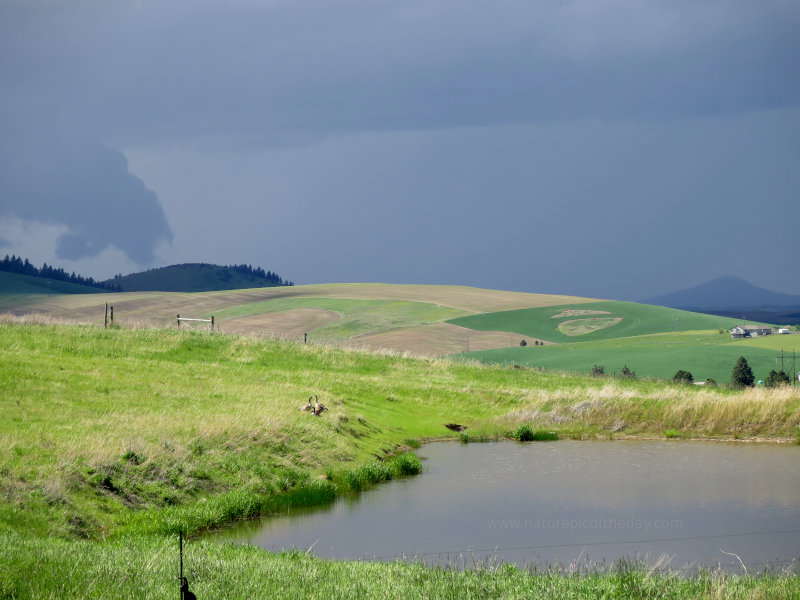 Sunlight Before A Storm in Idaho