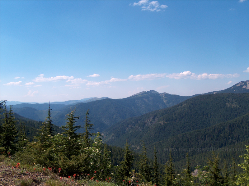 A bright, summer day in the Rocky Mountains of Montana 