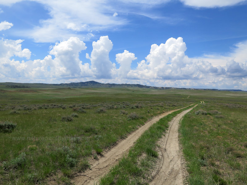 Jeep Trail in Eastern Montana