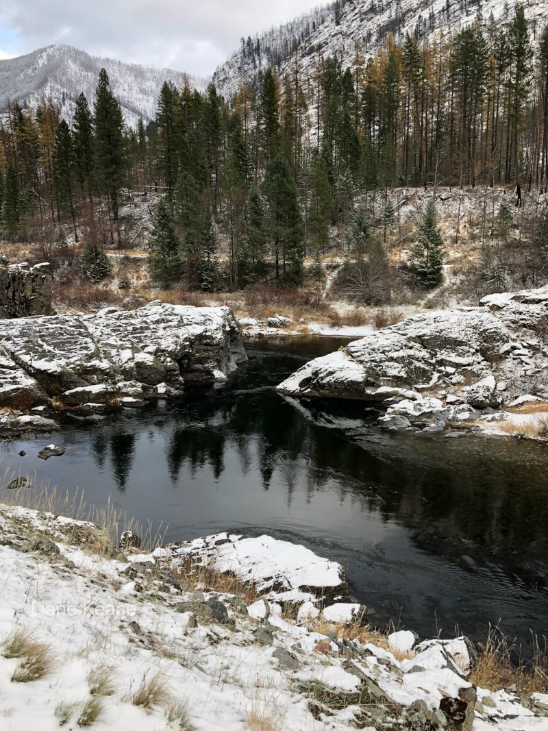 Thompson River in Montana