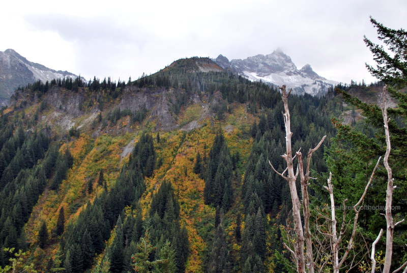 Fall in Mount Rainier National Park