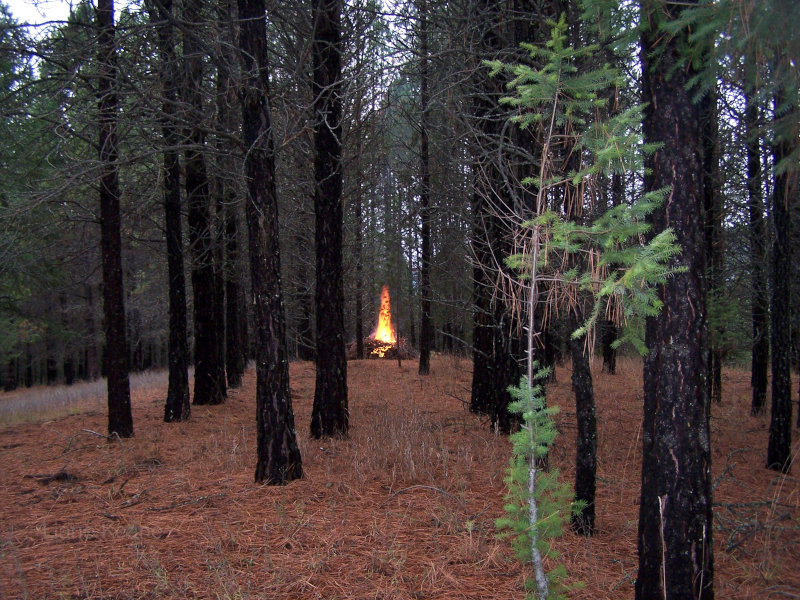 Bonfire on a rainy fall day