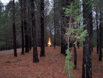 Bonfire on a rainy fall day