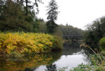 Humptulips River in Washington State