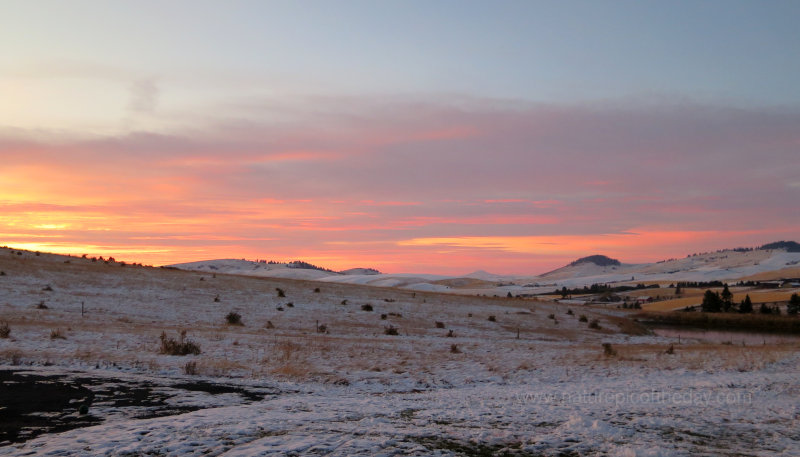 Sunset on the Palouse