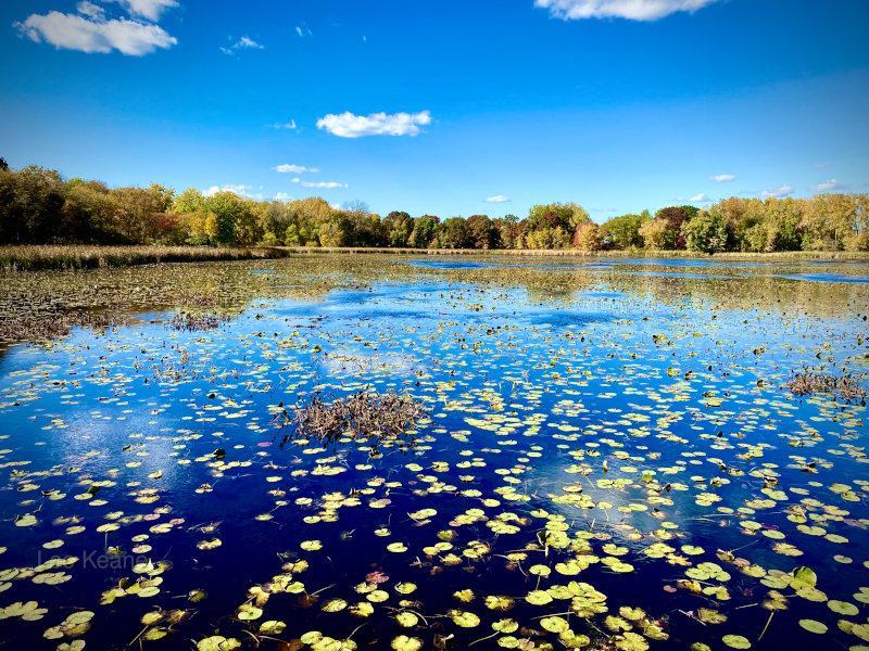 Beautiful lake in Minnesota