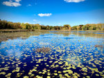 Beautiful lake in Minnesota